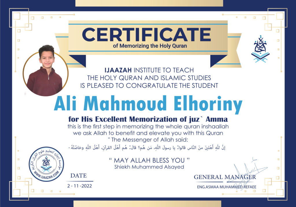 Ali Mahmoud Elhoriny